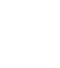 Radio Taxi Logo